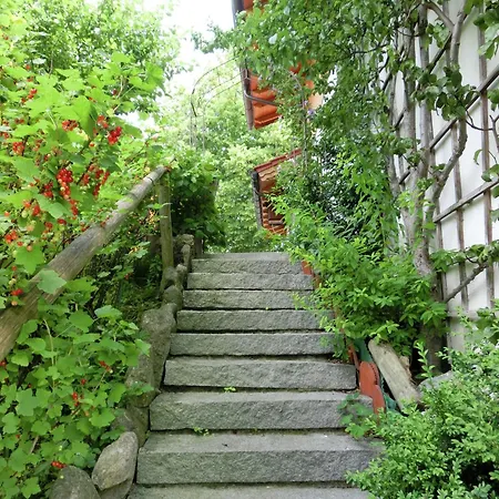 In Bavaria By Soier Lake, Cleaning Included Apartament *